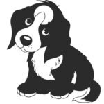 Black and white puppy dog